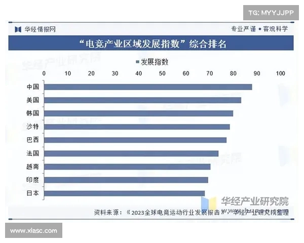 电子竞技有望成为2028年奥运会表演项目推动全球电竞产业发展 电子竞技有望成为2028年奥运会表演项目推动全球电竞产业发展
