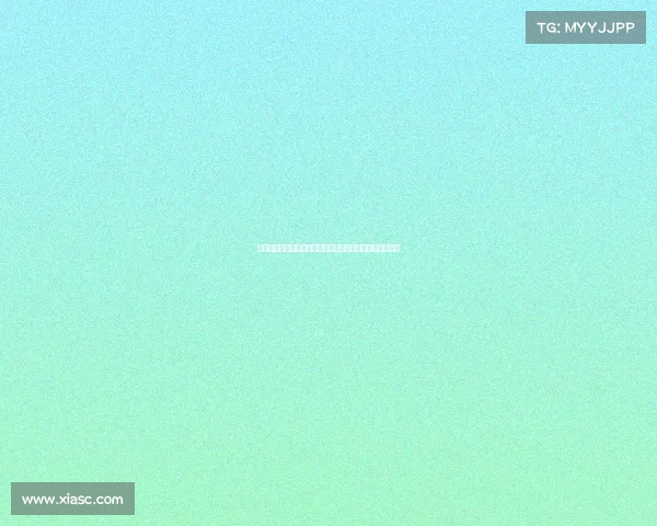 德甲联赛历史与现状分析：豪门竞争与青训体系的双重发展