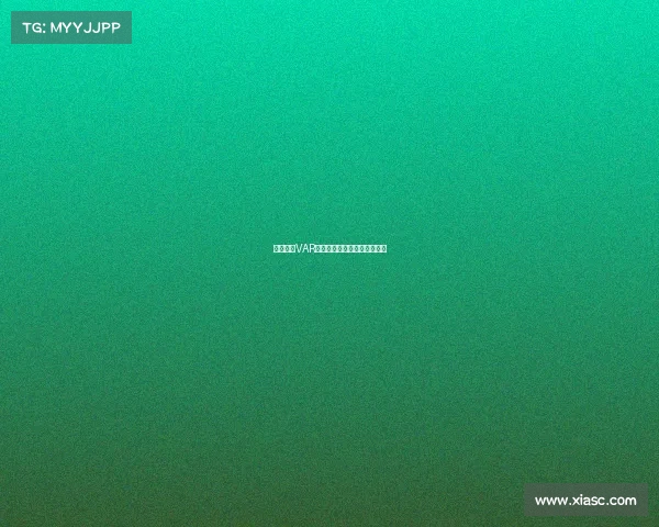 德甲联赛VAR规则全面解析与应用实践分析 德甲联赛VAR规则全面解析与应用实践分析