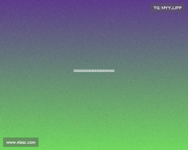 德甲联赛历史与现状分析：豪门竞争与青训体系的双重发展