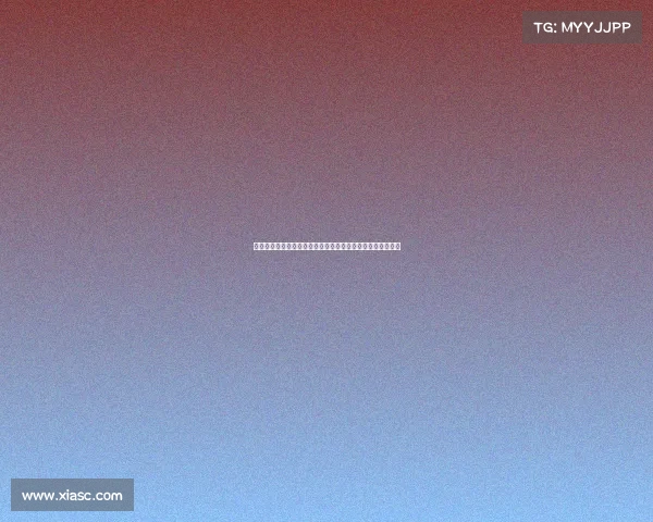 葡萄牙总统为若塔和若热科斯塔追授司令级功绩勋章以示致敬