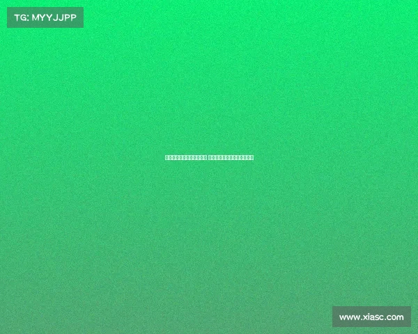 达拉斯独行侠的崛起与挑战 新时代篮球风云中的不懈追求